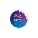 XQS Blueberry Mint