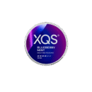 XQS Blueberry Mint 10mg
