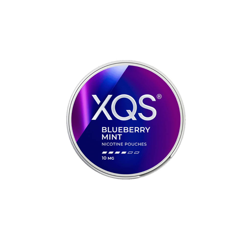 XQS Blueberry Mint 10mg